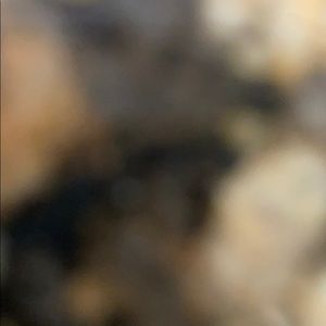 Meet your Posher, Jared